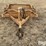 soil-mover-sm35-scraper-image-2
