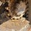 2017-bobcat-t650-image-7