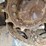 2020-bobcat-t76-image-9