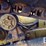 2001-caterpillar-d5m-lgp-image-27