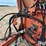 westward-920-bale-processor-image-17