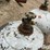 100lb-propane-tanks-image-12