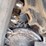 bobcat-t870-image-24