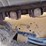 2020-caterpillar-259d3-image-15