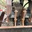 #5039-•-hydraulic-plate-compactor-attachment-image-2