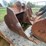 #5014-•-excavator-bucket-image-5