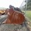 #5003-•-excavator-bucket-image-4