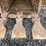 #5021-•-excavator-bucket-image-2