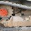 2018-takeuchi-tl8-image-8