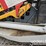 2018-takeuchi-tl8-image-21