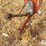 mayrath-10x62-image-9
