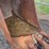 #5002-•-excavator-bucket-image-11