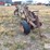 dmi-5-bottom-variable-width-semi-mounted-plow-image-4