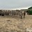 2011-better-built-6n-12-bale-t/a-hay-trailer-image-4