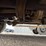 2003-ford-f350-image-28