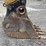 2019-caterpillar-320-image-24