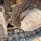 yanmar-vio80-1a-image-15