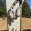 2018-takeuchi-tb260-image-11