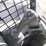 2018-bobcat-t650-image-23