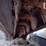 2017-bobcat-t590-image-15