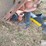 bush-hog-2620-image-19