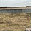calf-shed-image-6