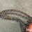 5-ton-chain-hoist-image-11