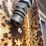 #5055-•-ingersoll-rand-v46-hydraulic-hammer-breaker-unit-image-14