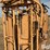 for-most-squeeze-chute-alleyway-w/headcatch-image-10