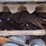 2019-asv-posi-track-rt75-image-17