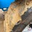 2016-genie-gth844-image-11
