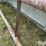 calf-shed-image-15