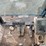 2001-caterpillar-345bl-image-34