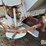 willmar-600-image-13