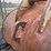 #5001-•-excavator-bucket-image-15