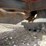 litter-spreader-image-12