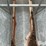 creep-feeder-image-20