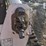 2020-bobcat-t870-image-16