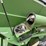 brent-776-image-20