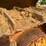 2016-caterpillar-d4k2-xl-image-7
