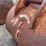 #5014-•-excavator-bucket-image-10