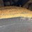 bed-size-image-13