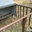 hastings-creep-feeder-image-15