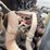 2016-international-4300-sba-image-18
