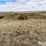 eversman-4512-12'-land-plane-image-8