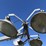 allmand-bros-night-lite-pro-image-19