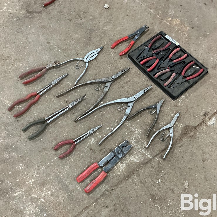 Retaining Ring/Needle Nose Pliers