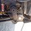 2012-caterpillar-ct660s-image-60