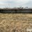 calf-shed-image-2