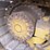 2015-caterpillar-d4k2-lgp-image-28